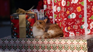 İzmir'in en neşeli festivali başladı