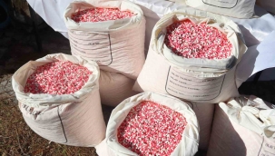 Yılbaşı öncesi emniyetten rekor uyuşturucu operasyonu