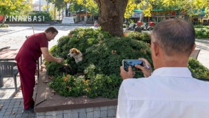 25 bin hayvan kısırlaştırıldı, bin 200'ü sıcak yuvaya kavuştu 