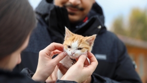 Buca'nın "Mucize"si yuvasına kavuştu