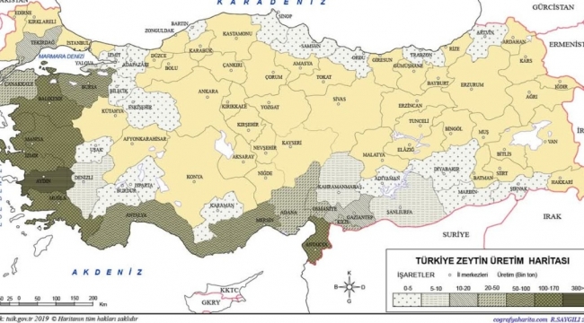 Türkiye'de En Çok Zeytin Üreten Şehirler Belli Oldu!