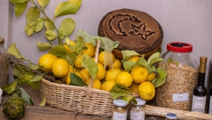 Başkan Tugay: Tarım en önemli çalışma konularımızdan birisi olacak