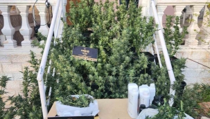 İzmir'de 'Narko-Terör' operasyonunda 40 gözaltı