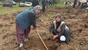 Aliağa'da Orman Haftası'nda Fidan Dikim Etkinliği Düzenlendi