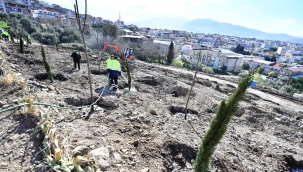 Bornova yeni bir orman kazanıyor