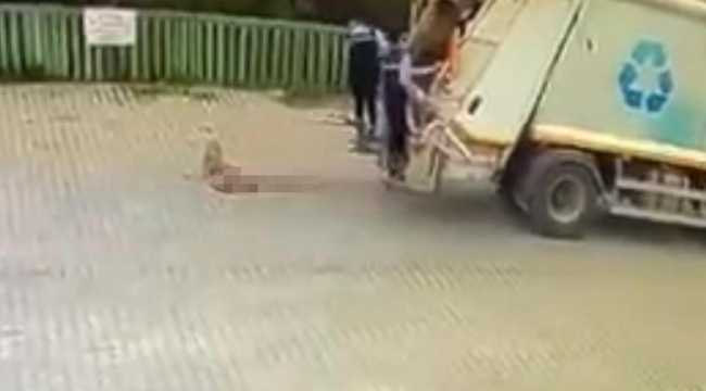 Çiğli Belediyesi çöp kamyonu köpeği ezdi, durmadan yoluna devam etti