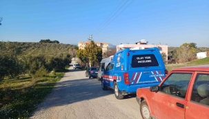 İzmir'de bir eve operasyon: 102 kök kenevir ele geçirildi