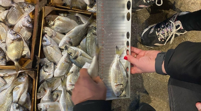 İzmir'de Su Ürünleri Denetimi: Yasal Olmayan Avcılığa Müdahale 