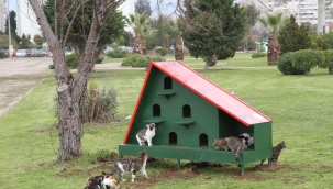 Karşıyaka Belediyesi'nden sahipsiz hayvanlar için örnek uygulama