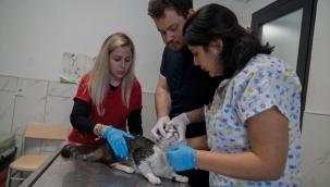 Dünya Veteriner Hekimler Günü'nde İzmirli veteriner hekimlerden çağrı