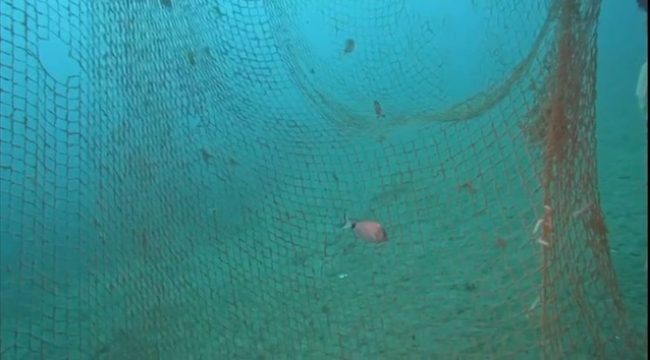 Denizlerin Sessiz Katili Temizleniyor: Karaburun Açıklarında 1,5 Ton Hayalet Ağ Toplandı