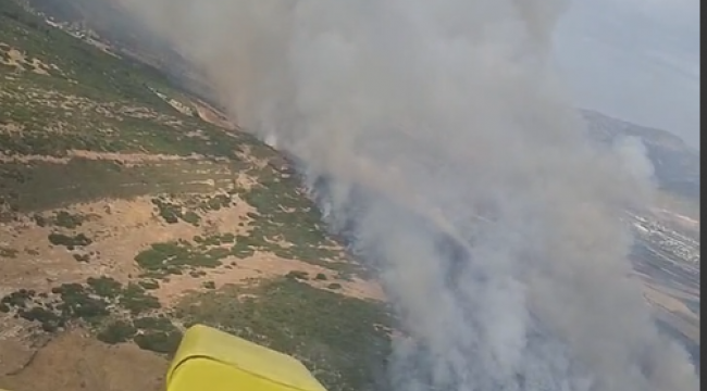 Foça'da Ziraat Arazisinde Yangın Çıktı, Ormana Sıçradı