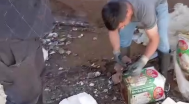 Gıda teröristleri tonlarca bozuk peyniri vatandaşa yedirecekti