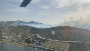 Urla Gülbahçe'de Orman Yangını: Hızlı Müdahale ile Söndürme Çalışmaları Sürüyor