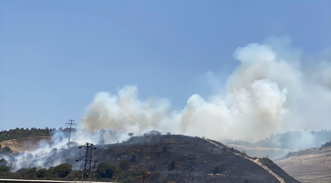 Aliağa Bozköy'de Orman Yangını: Havadan ve Karadan Müdahale Sürüyor
