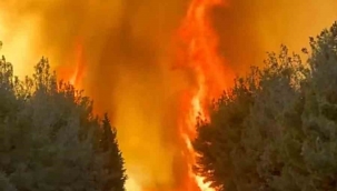 Aliağa'da alevlerin ortasında kaldılar: Orman ekibi son anda kurtuldu