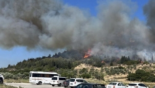 Aliağa'da bir orman yangını daha