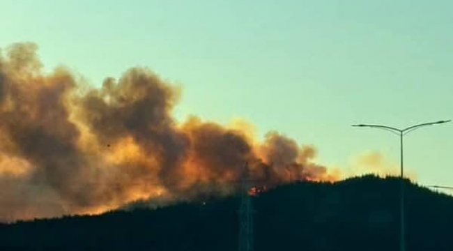 Aliağa'da orman yangını: 6 uçakla müdahale sürüyor