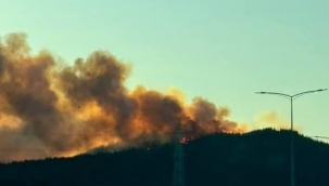 Aliağa'da orman yangını: 6 uçakla müdahale sürüyor