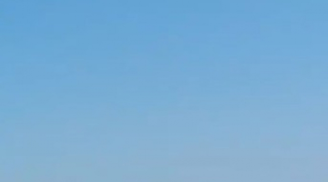 Aliağa'da otluk alanda çıkan yangın söndürüldü