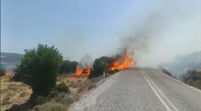 Aliağa'da ziraat arazilerinde yangın