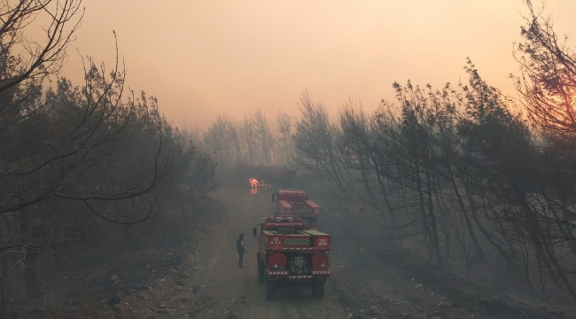 Aliağa ve Foça'da Orman Yangınında Ekiplerin Zorlu Mücadelesi