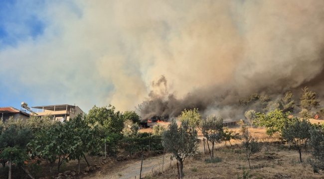Aliağadaki orman yangını kontrol altında