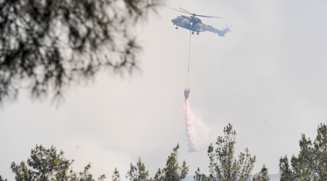 Bornova'daki orman yangını kontrol altında 