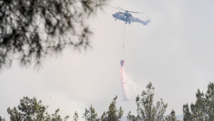 Bornova'daki orman yangını kontrol altında 