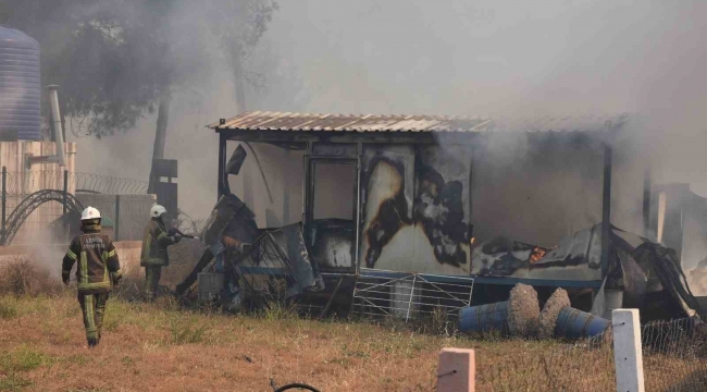 Bornova'daki orman yangını soruşturmasında 2 tutuklama
