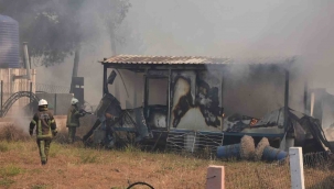 Bornova'daki orman yangını soruşturmasında 2 tutuklama