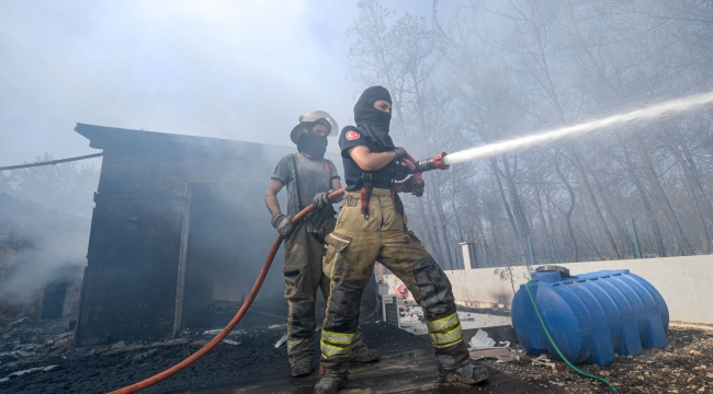 Bornova Yakaköy'de yangınla mücadele sürüyor
