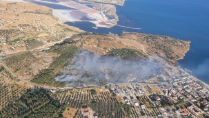 Candarlı'da Orman Yangını