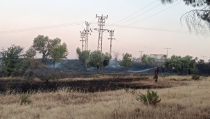 Foca'da Otluk alanda yangın 