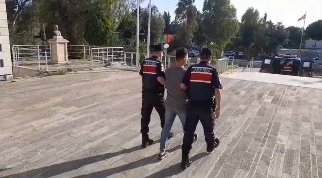 Foça'daki orman yangınıyla ilgili 1 tutuklama