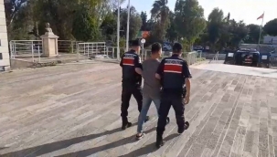 Foça'daki orman yangınıyla ilgili 1 tutuklama