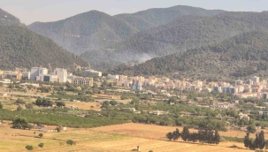 İki İlçede'deki orman yangınları kontrol altında