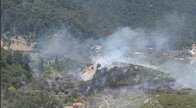 Kemalpaşa'daki orman yangını kontrol altında