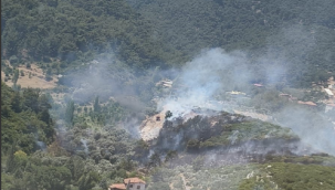 Kemalpaşa'daki orman yangını kontrol altında