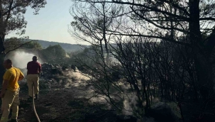Mangal yakarak orman yangınına neden olan şahıs tutuklandı