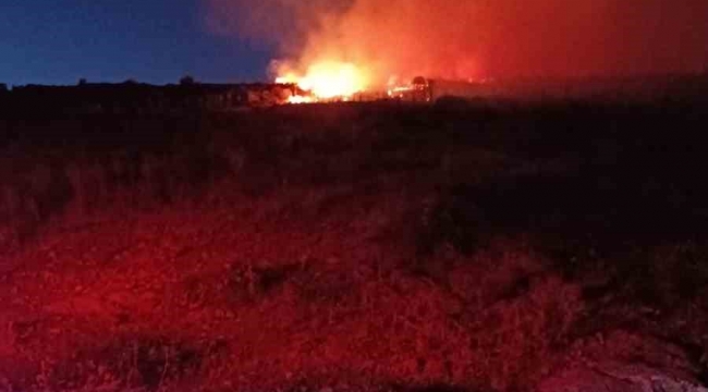 Menemen'de makilik alanda yangın
