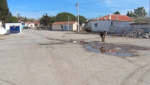  Aliağa'da Kayıp Kız Çocuğu Sağ Olarak Bulundu