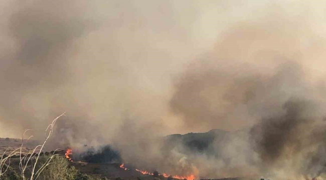 Aliağa'da otluk alanda yangın