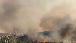 Aliağa'da otluk alanda yangın