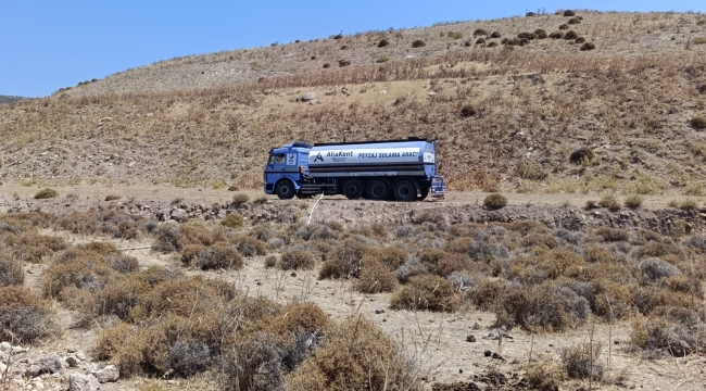 Aliağa 'de Yaban Hayvanları için tankerle su taşındı