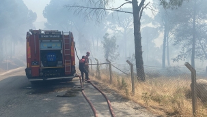 Anız yangını ormana sıçradı, 16 hektar kül oldu