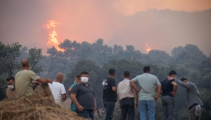 Başkan Tugay Ödemiş'te yangın bölgesinde