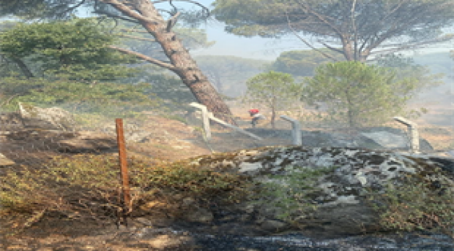 Bergama'da orman yangınına müdahale ediliyor