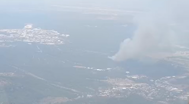 Bornova'da orman yangını
