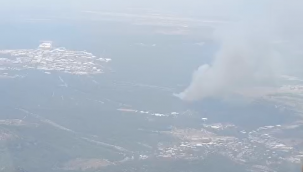 Bornova'da orman yangını